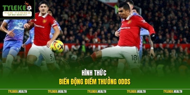 Hình thức biến động điểm thưởng Odds