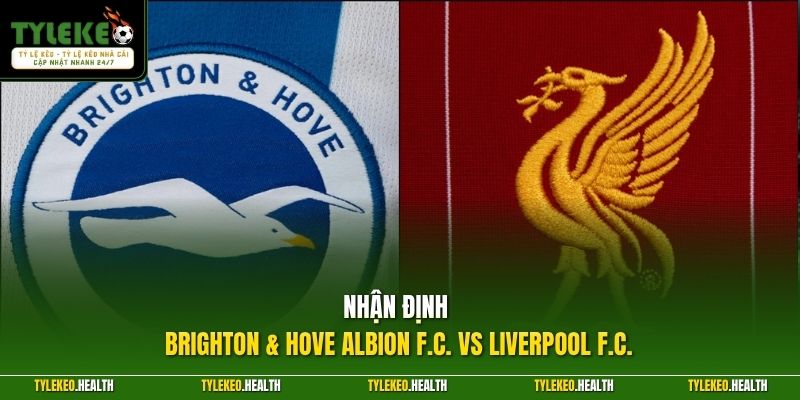 Nhận Định Brighton & Hove Albion F.C. Vs Liverpool F.C.